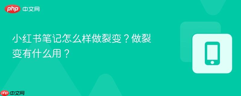 小红书笔记怎么样做裂变?做裂变有什么用?-第1张图片-佛山资讯网 小红书笔记怎么样做裂变?做裂变有什么用?-第1张图片-佛山资讯网