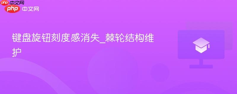 键盘旋钮刻度感消失_棘轮结构维护-第1张图片-佛山资讯网