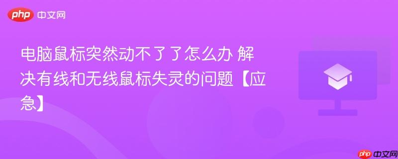 电脑鼠标突然动不了了怎么办 解决有线和无线鼠标失灵的问题【应急】-第1张图片-佛山资讯网
