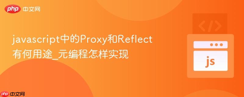javascript中的Proxy和Reflect有何用途_元编程怎样实现-第1张图片-佛山资讯网 javascript中的Proxy和Reflect有何用途_元编程怎样实现-第1张图片-佛山资讯网