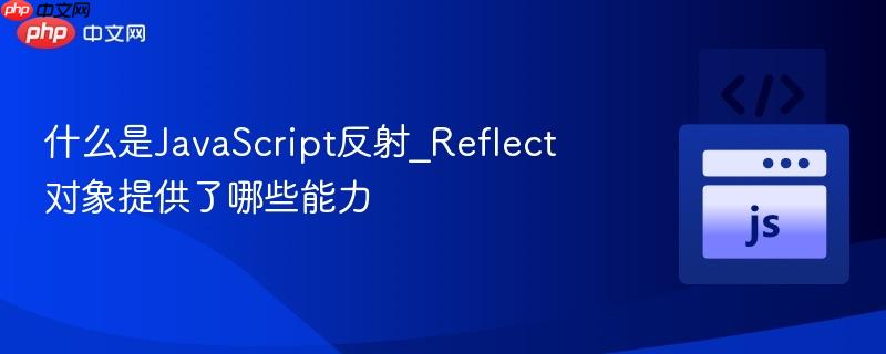 什么是JavaScript反射_Reflect对象提供了哪些能力-第1张图片-佛山资讯网 什么是JavaScript反射_Reflect对象提供了哪些能力-第1张图片-佛山资讯网