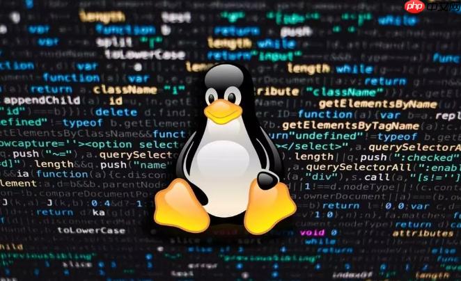 Linux本机可以访问外网不行_路由与DNS排错流程【教学】-第1张图片-佛山资讯网