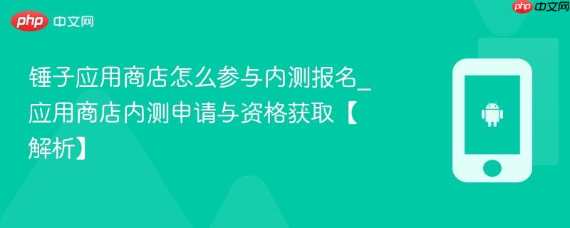 锤子应用商店怎么参与内测报名_应用商店内测申请与资格获取【解析】-第1张图片-佛山资讯网