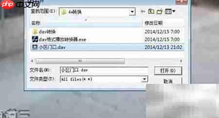 DAV格式在监控录像中的应用-第2张图片-佛山资讯网