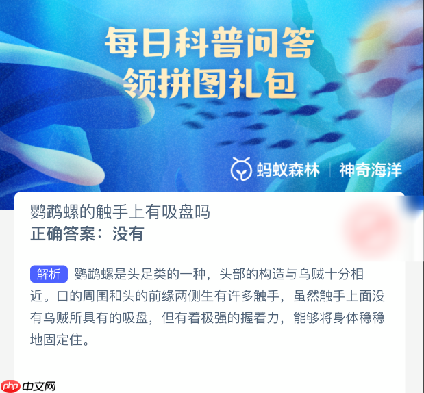 鹦鹉螺的触手上有吸盘吗-第1张图片-佛山资讯网
