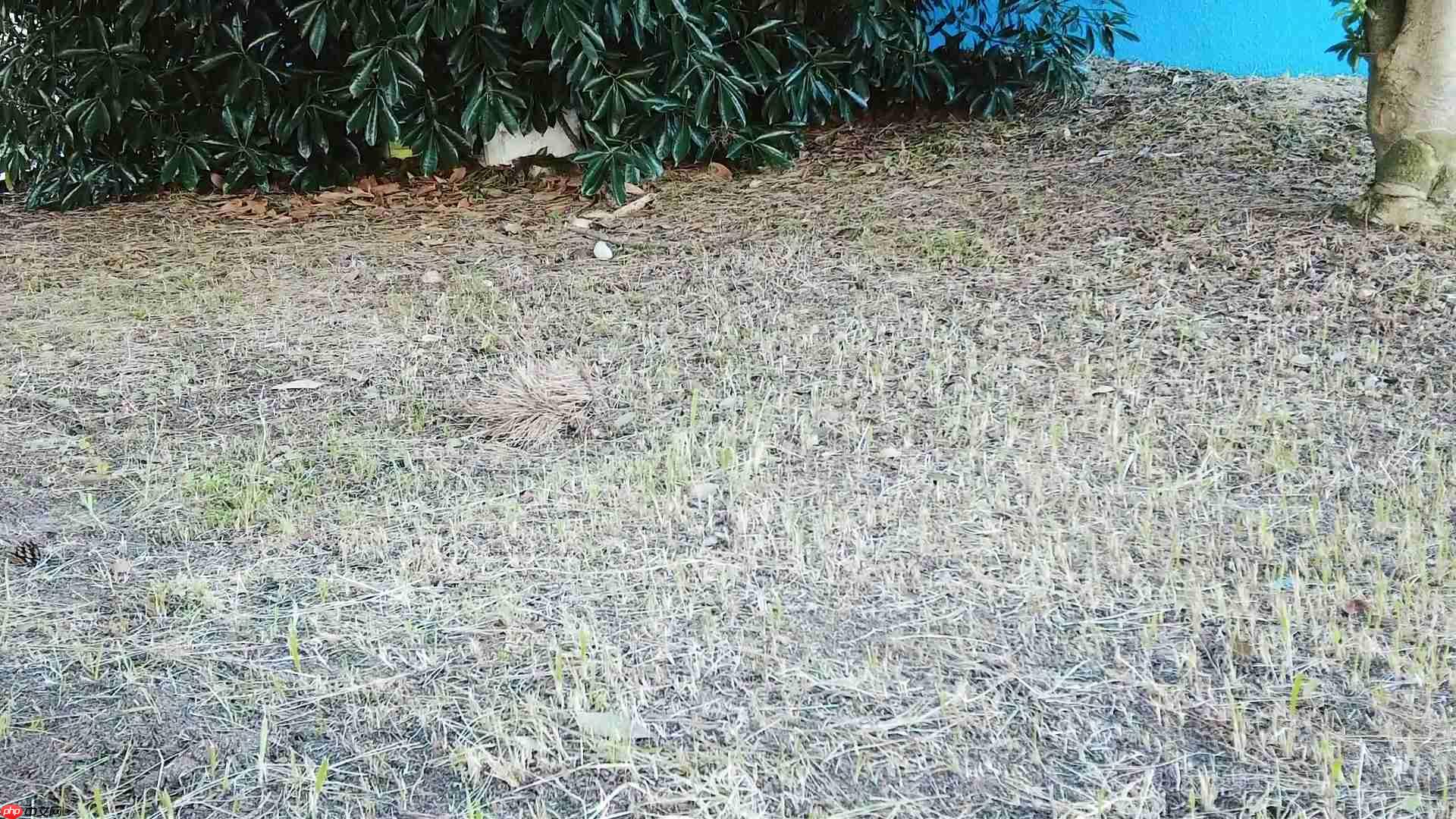 MeowTalk:猫语翻译App评测,真的能听懂猫咪的心声吗?-第3张图片-佛山资讯网 MeowTalk:猫语翻译App评测,真的能听懂猫咪的心声吗?-第3张图片-佛山资讯网