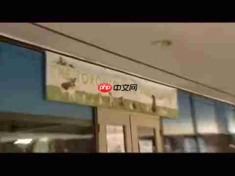 探索人猫交流新方式：猫语翻译App评测与应用-第2张图片-佛山资讯网