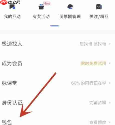 脉脉怎么开通会员？-脉脉开通会员的方法-第2张图片-佛山资讯网