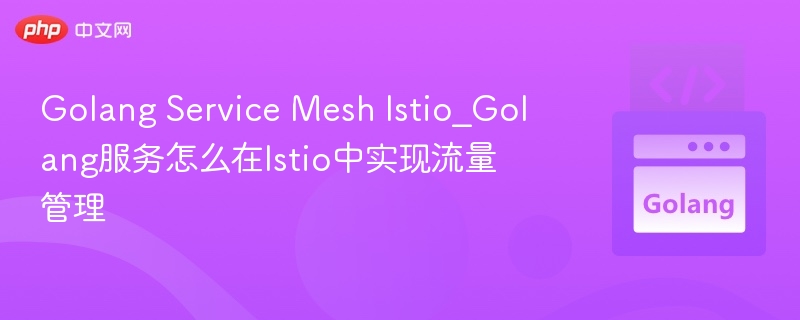 Golang Service Mesh Istio_Golang服务怎么在Istio中实现流量管理-第1张图片-佛山资讯网