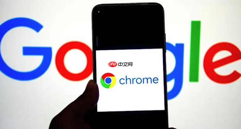 谷歌浏览器国际版APP入口 谷歌在线浏览器全球版入口-第1张图片-佛山资讯网