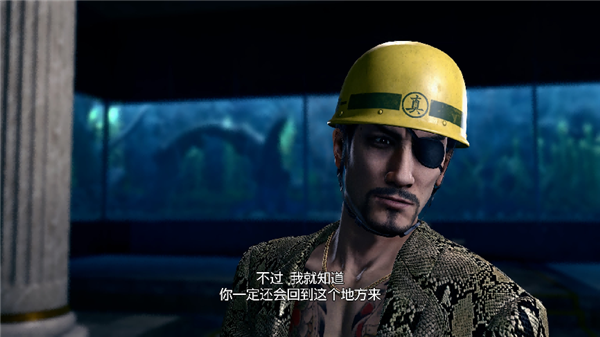 《人中之龙 极2》DLSS更新 耕升 RTX 5060 Ti 16GB 追风 OC双龙死斗！-第3张图片-佛山资讯网