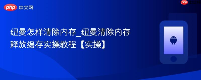 纽曼怎样清除内存_纽曼清除内存释放缓存实操教程【实操】-第1张图片-佛山资讯网 纽曼怎样清除内存_纽曼清除内存释放缓存实操教程【实操】-第1张图片-佛山资讯网