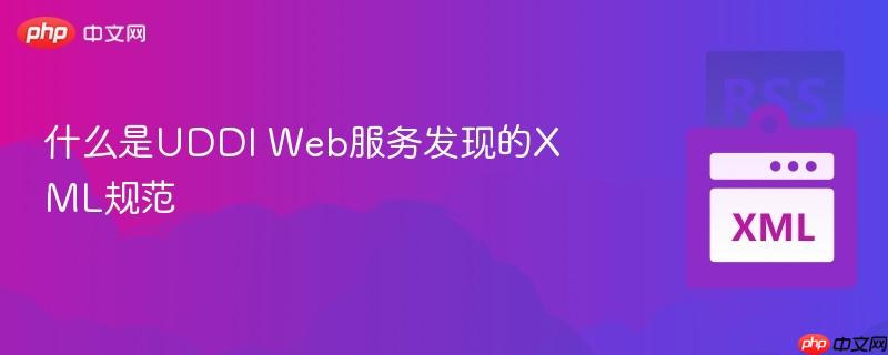 什么是UDDI Web服务发现的XML规范-第1张图片-佛山资讯网