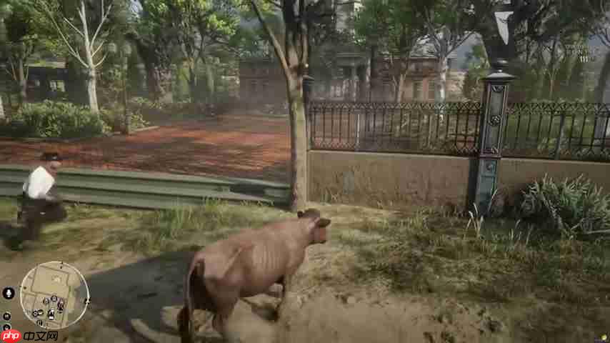 Red Dead Redemption 2角色扮演服务器动物变形模组实况-第3张图片-佛山资讯网 Red Dead Redemption 2角色扮演服务器动物变形模组实况-第3张图片-佛山资讯网