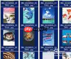 百度脑图如何批量删除导图-第1张图片-佛山资讯网