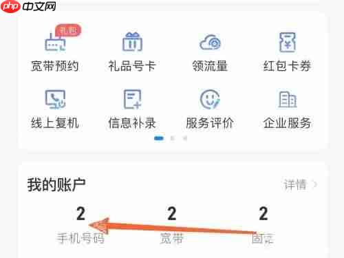 《中国电信》查看本人名下手机号码数量方法-第2张图片-佛山资讯网