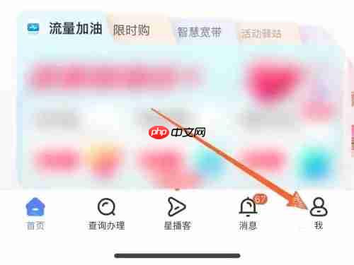 《中国电信》查看本人名下手机号码数量方法-第1张图片-佛山资讯网