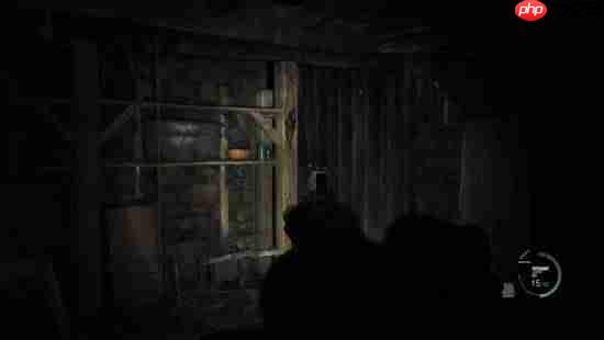 《生化危机4：重制版》变COD？大神制作第一人称mod 全武器瞄具-第1张图片-佛山资讯网