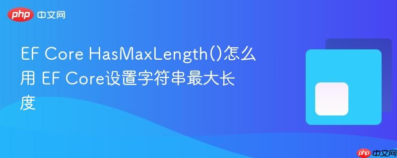 EF Core HasMaxLength()怎么用 EF Core设置字符串最大长度-第1张图片-佛山资讯网 EF Core HasMaxLength()怎么用 EF Core设置字符串最大长度-第1张图片-佛山资讯网