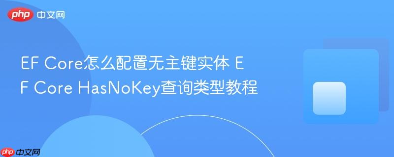 EF Core怎么配置无主键实体 EF Core HasNoKey查询类型教程-第1张图片-佛山资讯网 EF Core怎么配置无主键实体 EF Core HasNoKey查询类型教程-第1张图片-佛山资讯网