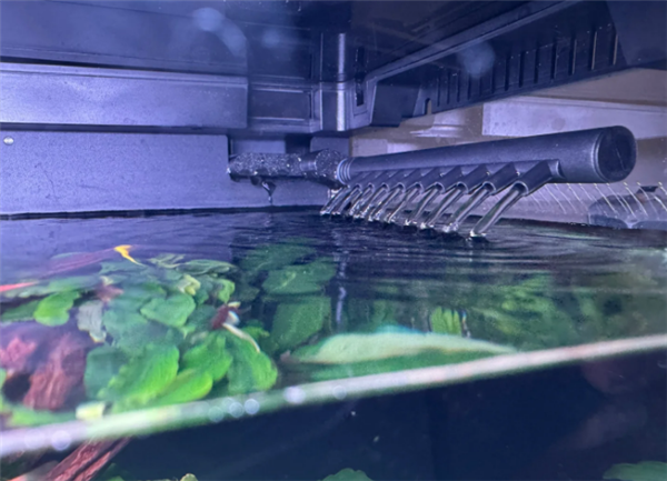 家庭小型鱼缸怎么选 适合新手的当贝智能鱼缸深度体验-第2张图片-佛山资讯网