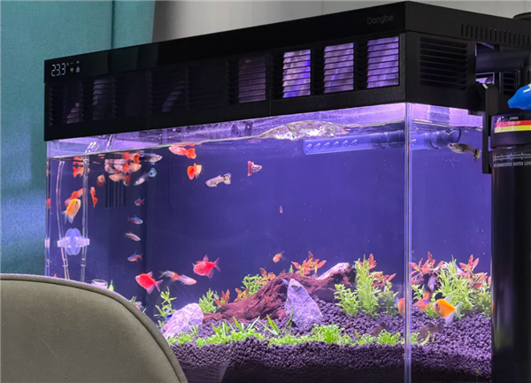 2025京东鱼缸热销数据发布：这10个家庭水族品牌口碑最好-第6张图片-佛山资讯网
