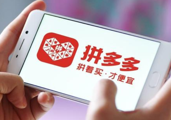 拼多多商家版网页版登录入口-第1张图片-佛山资讯网 拼多多商家版网页版登录入口-第1张图片-佛山资讯网