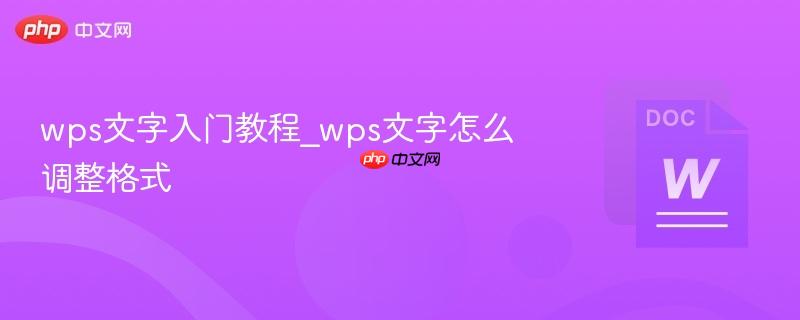wps文字入门教程_wps文字怎么调整格式-第1张图片-佛山资讯网
