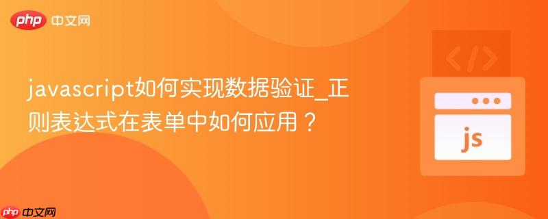 javascript如何实现数据验证_正则表达式在表单中如何应用?-第1张图片-佛山资讯网 javascript如何实现数据验证_正则表达式在表单中如何应用?-第1张图片-佛山资讯网