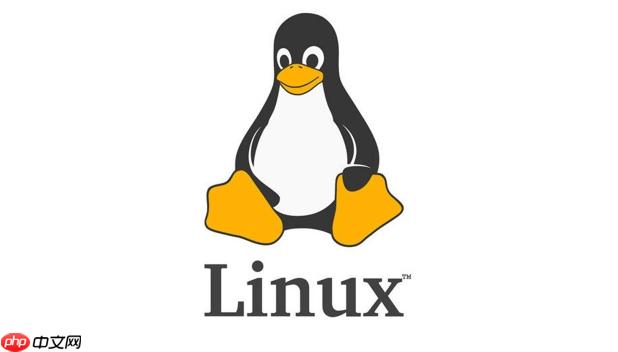 Linux常用命令如何掌握_完整流程拆解让问题迎刃而解【技巧】-第1张图片-佛山资讯网 Linux常用命令如何掌握_完整流程拆解让问题迎刃而解【技巧】-第1张图片-佛山资讯网