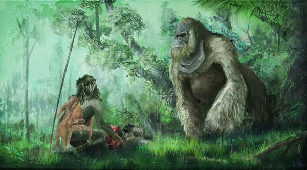 中国远古巨猿 身高3米史上最大灵长类动物 为何20万年前突然灭绝？-第9张图片-佛山资讯网