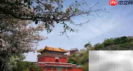 春寒漫步泰山旅游攻略-第1张图片-佛山资讯网