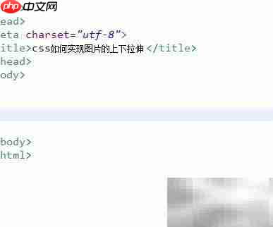 CSS实现图片上下拉伸技巧-第1张图片-佛山资讯网