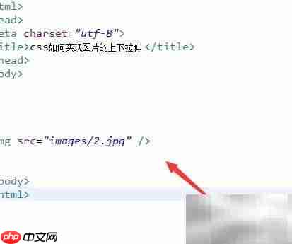 CSS实现图片上下拉伸技巧-第2张图片-佛山资讯网