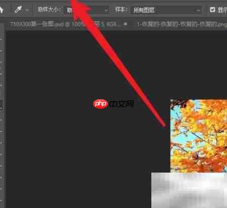 Photoshop变量可见性设置方法-第1张图片-佛山资讯网 Photoshop变量可见性设置方法-第1张图片-佛山资讯网