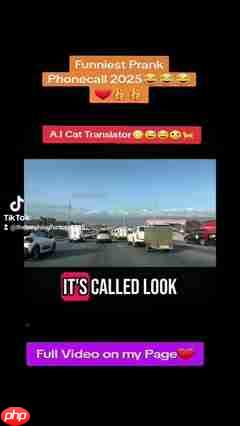 AI猫语翻译器:宠物沟通新纪元,玩笑还是未来?-第1张图片-佛山资讯网 AI猫语翻译器:宠物沟通新纪元,玩笑还是未来?-第1张图片-佛山资讯网