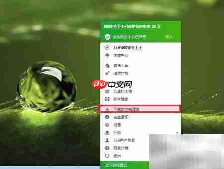 下载文件整理技巧-第1张图片-佛山资讯网