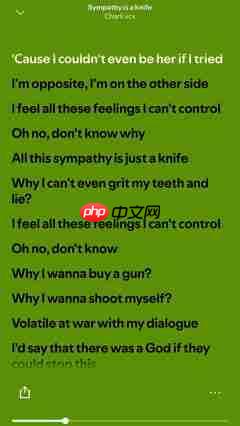 Taylor Swift与Charli XCX的音乐风波:一场误解还是真正的DISS?-第2张图片-佛山资讯网 Taylor Swift与Charli XCX的音乐风波:一场误解还是真正的DISS?-第2张图片-佛山资讯网