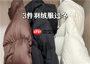 羽绒服的寿命大概是几年 羽绒服能洗几次-第1张图片-佛山资讯网
