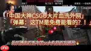 哪里可以免费看csgo大片-第1张图片-佛山资讯网