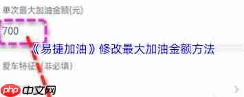 易捷加油如何修改最大加油金额-第1张图片-佛山资讯网