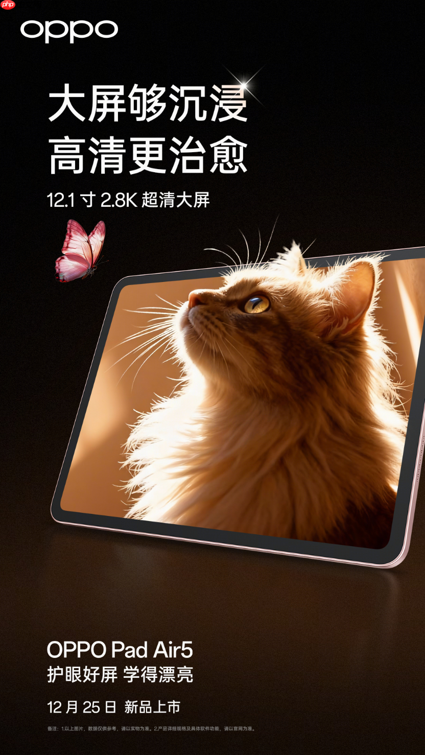 12月25日发布 OPPO官宣OPPO Pad Air5将配备12.1 寸 2.8K 超清柔光屏-第1张图片-佛山资讯网