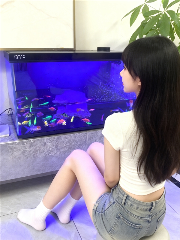 2026年新手养鱼必看：智能鱼缸怎么选 避坑指南+当贝鱼缸实测推荐-第1张图片-佛山资讯网