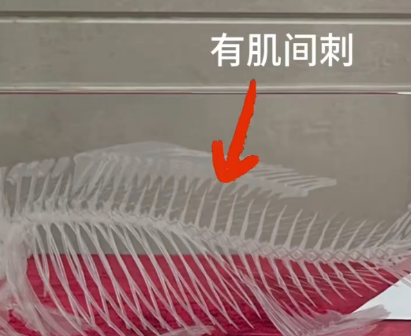 中国人终于对鱼刺“下手”了 中科院培育出无肌间刺鲫鱼-第1张图片-佛山资讯网
