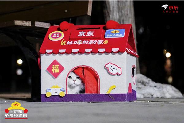 京东生活小家电启动“公益猫窝”计划 全国投放10000个温暖猫窝-第1张图片-佛山资讯网 京东生活小家电启动“公益猫窝”计划 全国投放10000个温暖猫窝-第1张图片-佛山资讯网