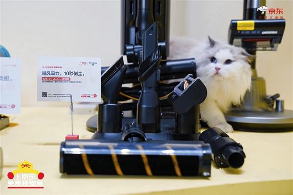 京东生活小家电启动“公益猫窝”计划 全国投放10000个温暖猫窝-第6张图片-佛山资讯网 京东生活小家电启动“公益猫窝”计划 全国投放10000个温暖猫窝-第6张图片-佛山资讯网