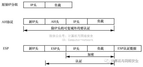网络安全,守护数字世界的平安-网络威胁与防护策略解析-第4张图片-佛山资讯网 网络安全,守护数字世界的平安-网络威胁与防护策略解析-第4张图片-佛山资讯网