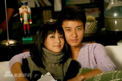 上门女婿电视剧：家庭伦理新视角-情感纠葛与生活挑战-第4张图片-佛山资讯网