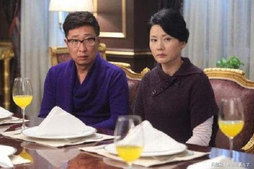 上门女婿电视剧：家庭伦理新视角-情感纠葛与生活挑战-第5张图片-佛山资讯网