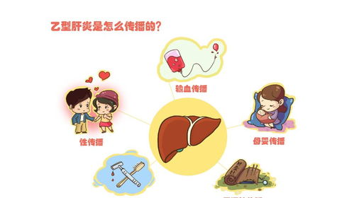 乙肝传播途径与预防措施-全面解析乙肝传染途径-第1张图片-佛山资讯网 乙肝传播途径与预防措施-全面解析乙肝传染途径-第1张图片-佛山资讯网